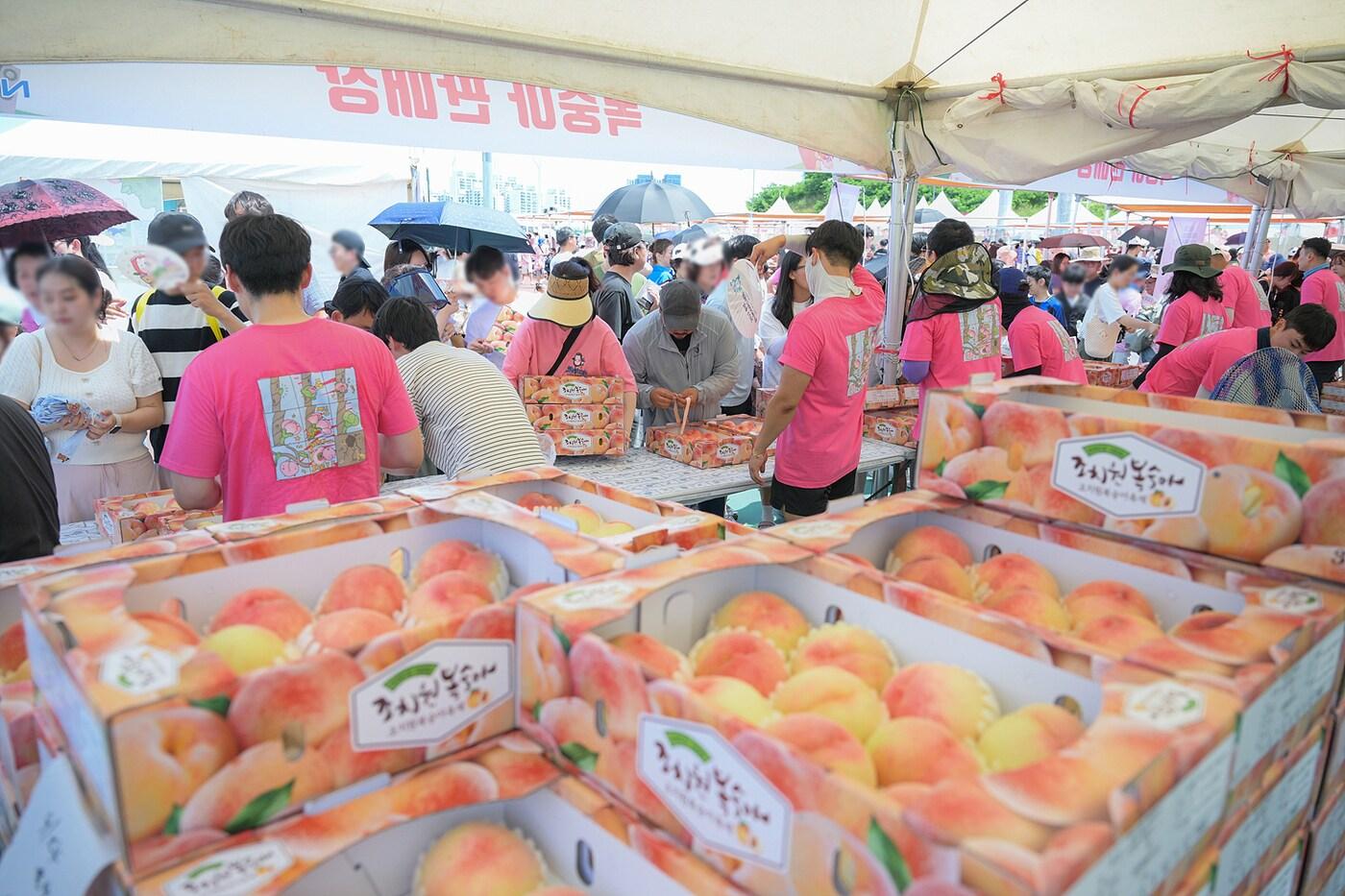  23회 세종 복숭아축제 판매장. 세종시 제공. 재판매 및 DB금지)