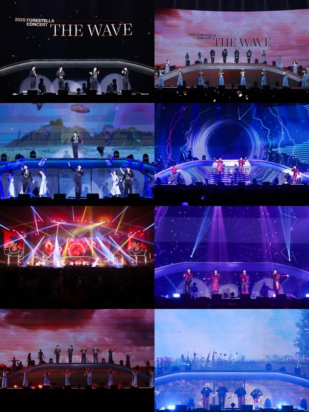 본문 이미지 - 포레스텔라