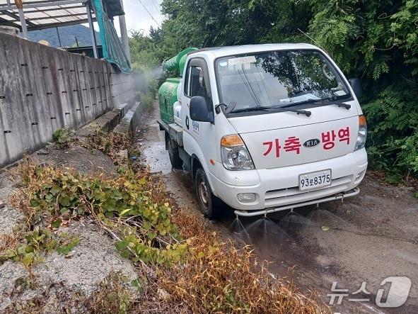 본문 이미지 - 경산시 축산농가 주변 살수차 긴급 운영&#40;경산시 제공. 재판매 및 DB금지&#41;/뉴스1