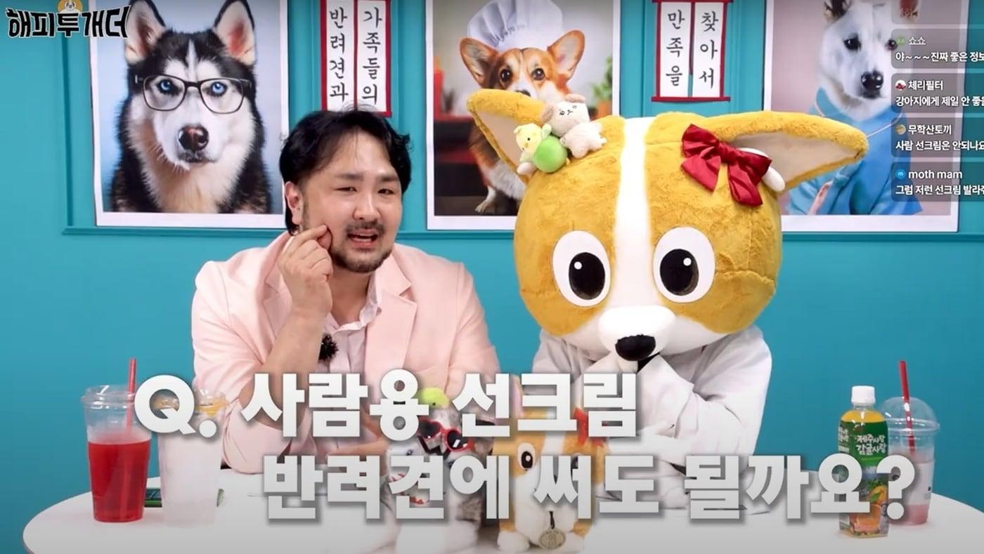 사람과 반려견의 피부 구조가 다르기에 사람용 선크림 사용은 위험할 수 있다(유튜브 개만족 갈무리) ⓒ 뉴스1