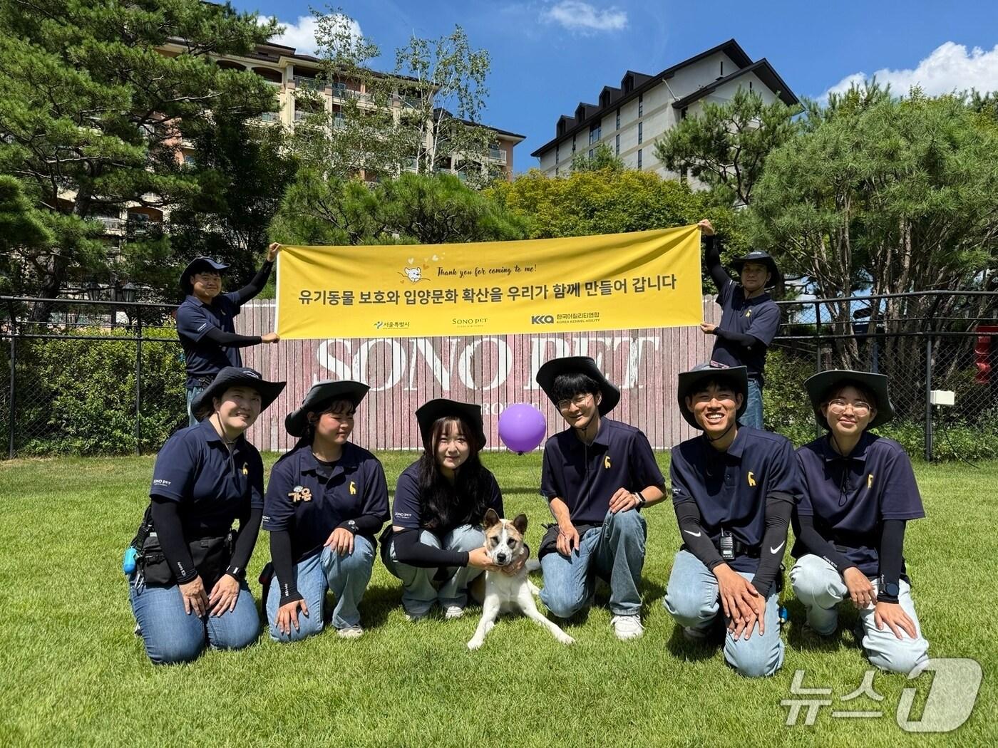 본문 이미지 - 소노펫클럽앤리조트 임시보호견 매튜(소노인터내셔널 제공)