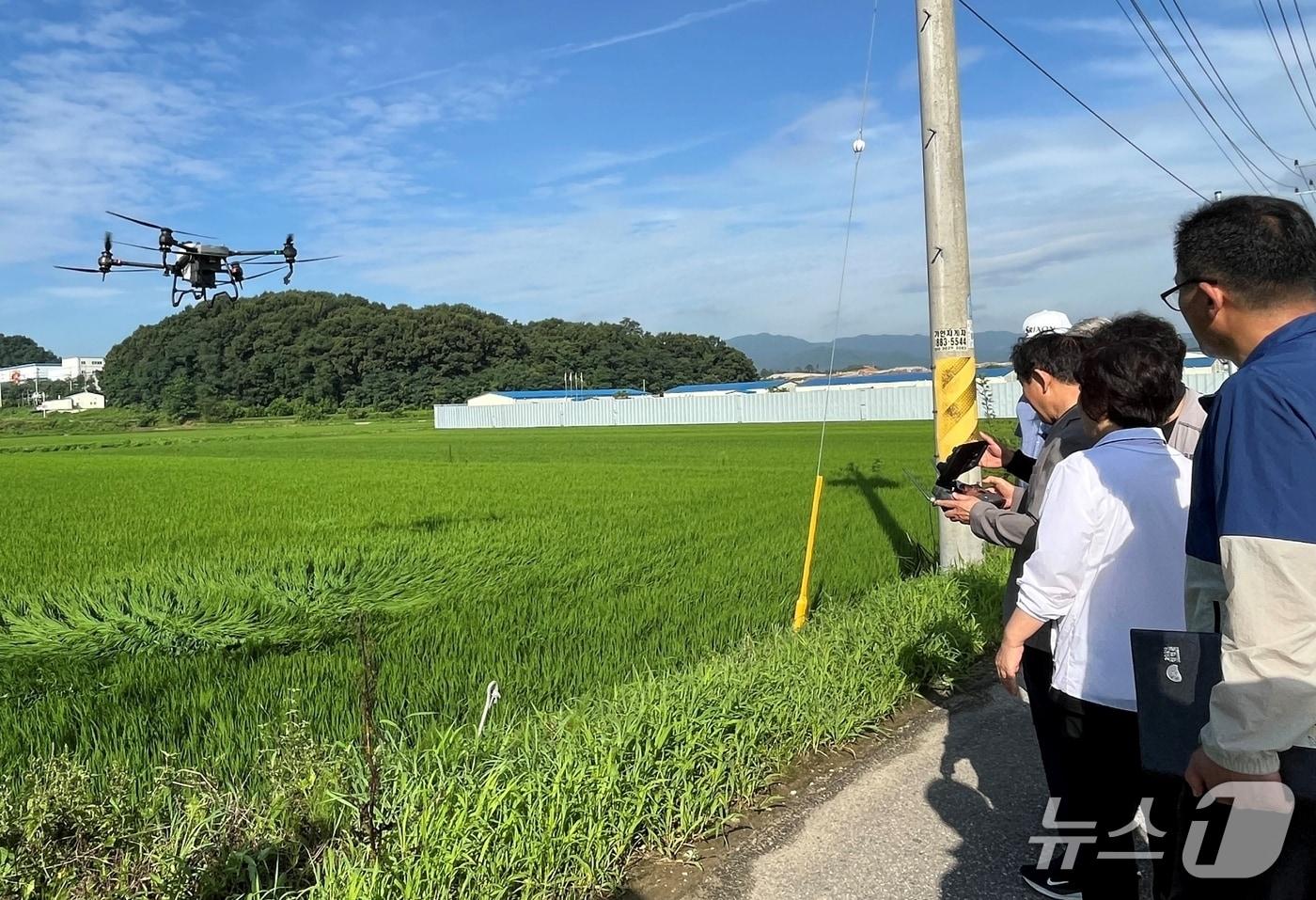 충북 진천군이 드론으로 병해충 방제를 하고 있다.&#40;진천군 제공, 재판매 및 DB금지&#41;/뉴스1