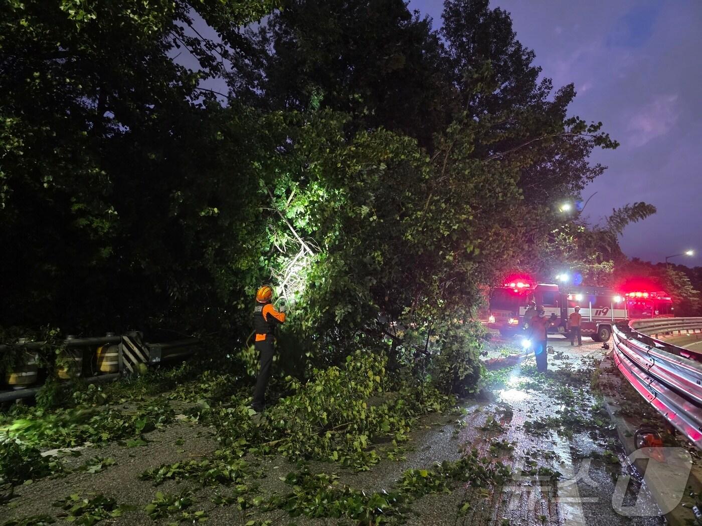 본문 이미지 - 지난 28일 오후 7시 21분쯤 광주 북구 매곡동 동림IC 진입로에서 나무가 쓰러져 도로를 막아 소방당국 등이 안전조치를 진행하고 있다,(광주 북부소방서 제공. 재판매 및 DB금지) 2025.7.29/뉴스1 
