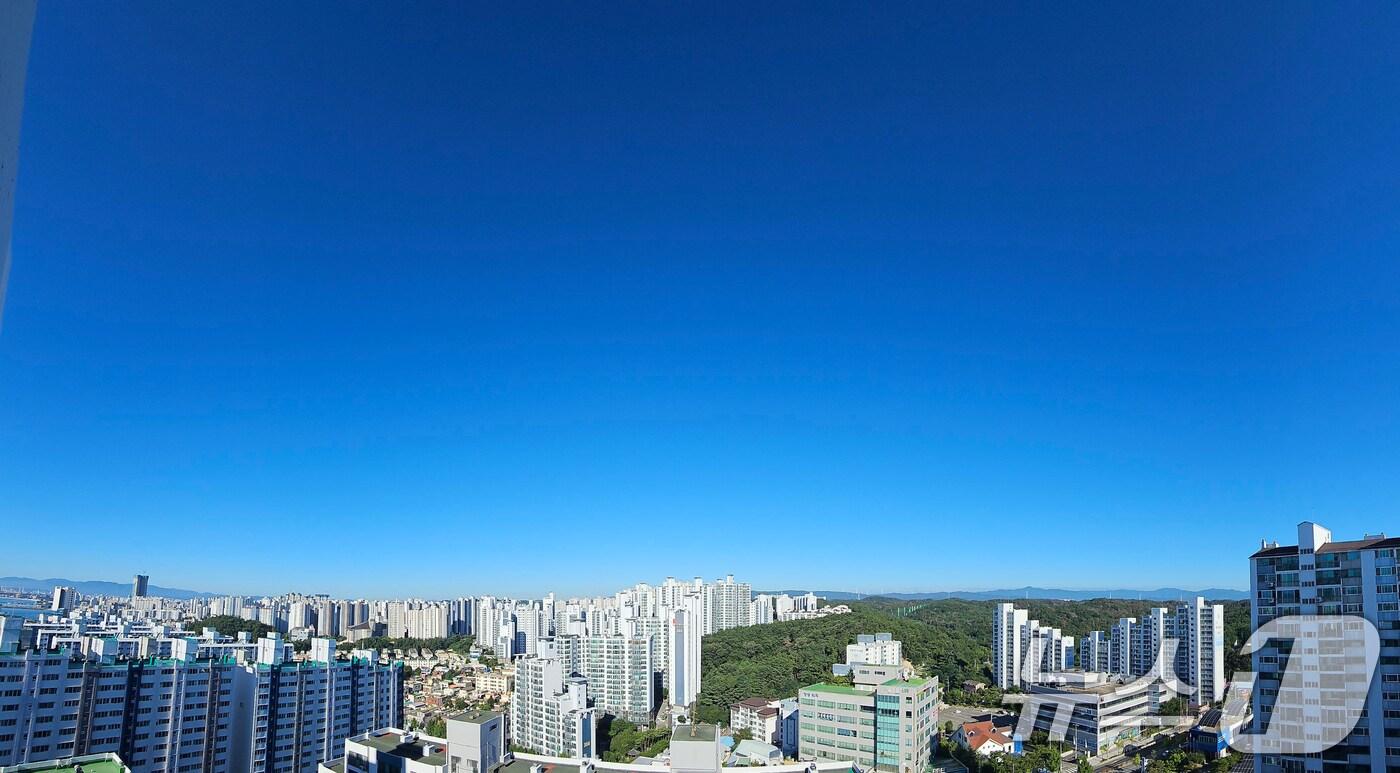 29일 오전 폭염경보가 내려진 경북 포항시 하늘에 구름 한점을 찾아 볼 수 없다. 2025.7.29/뉴스1 ⓒ News1 최창호 기자