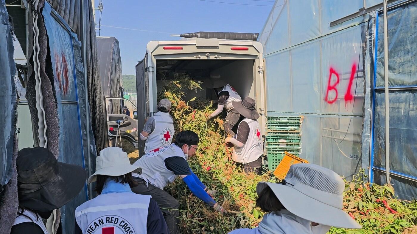 수해 피해 복구 활동&#40;충북적십자 제공. 재판매 및 DB금지&#41;./뉴스1