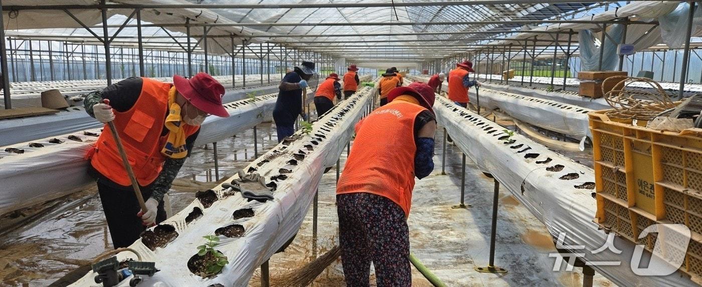 계룡시 자원봉사자 및 계룡시 공무원 당진 침수농가 수해복구 현장 (계룡시 제공.재판매 및 DB금지)/뉴스1 