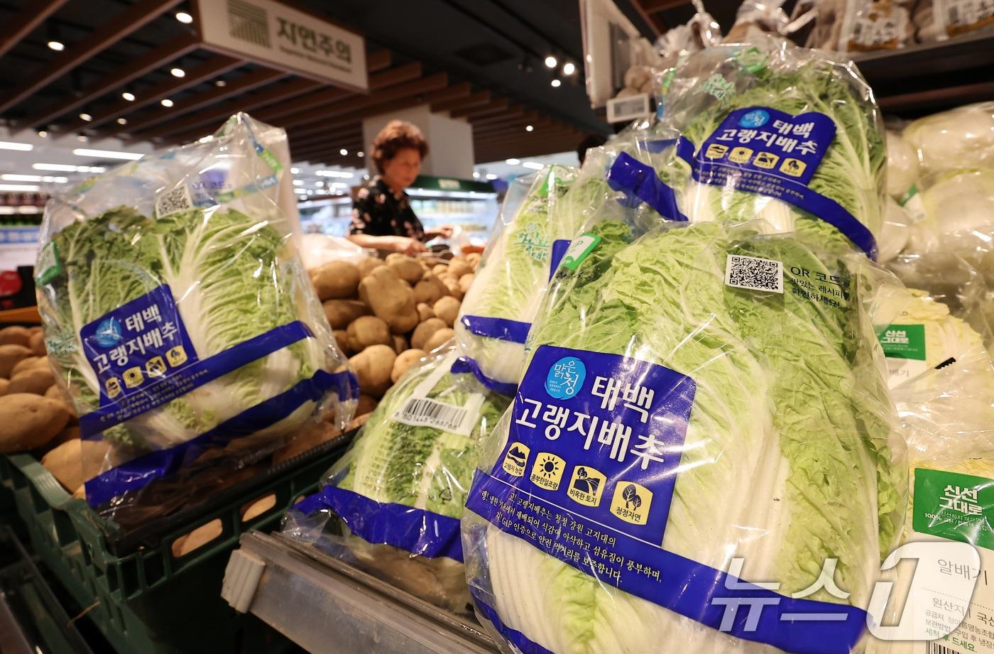 서울 시내 한 대형마트에 배추가 판매되고 있다. 2025.7.29/뉴스1 ⓒ News1 김성진 기자