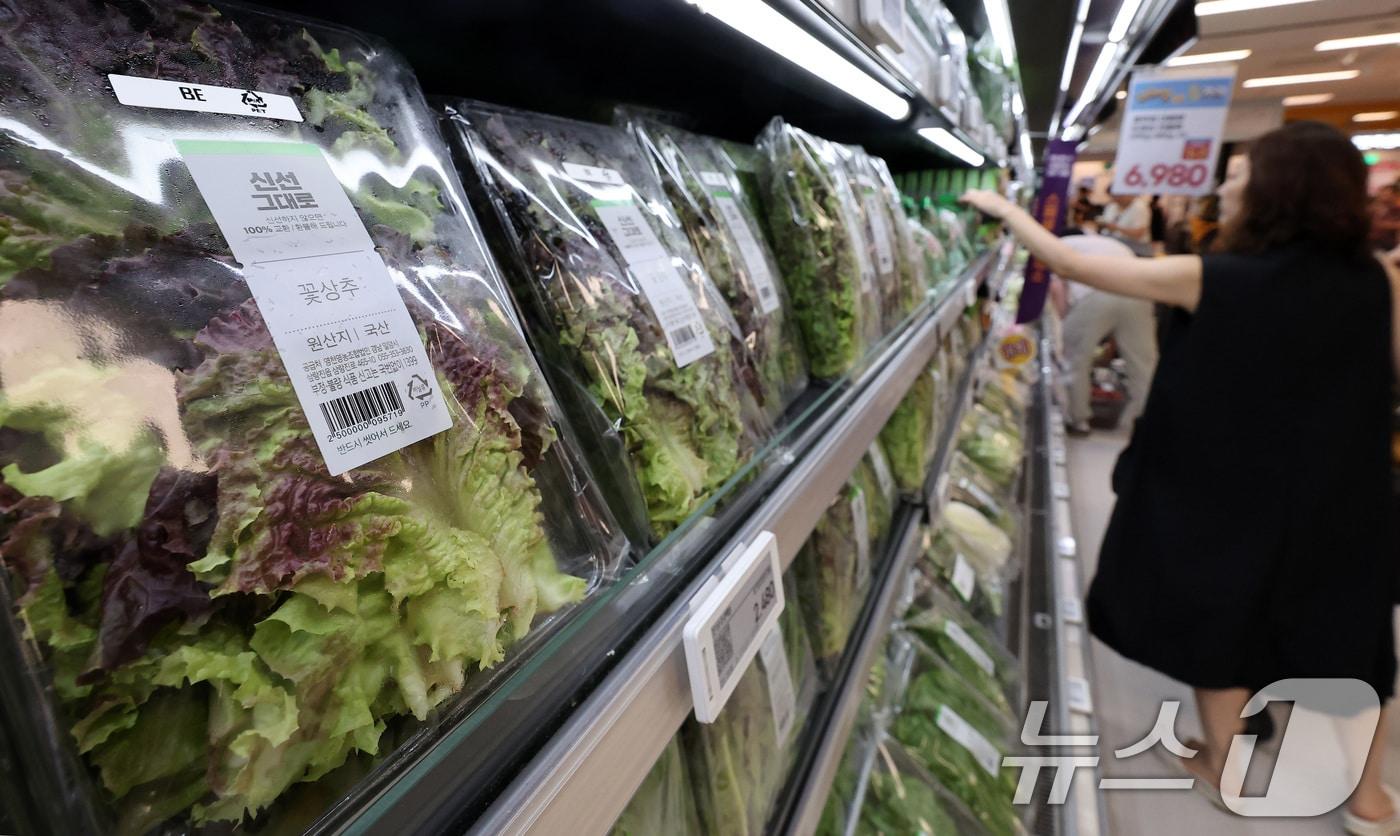  서울 시내 한 대형마트에 상추가 판매되고 있다. 2025.7.29/뉴스1 ⓒ News1 김성진 기자