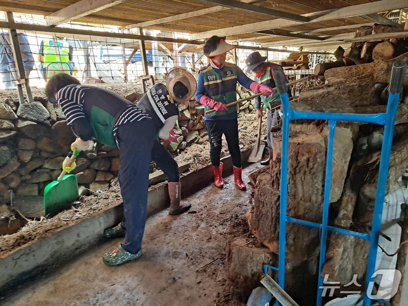본문 이미지 - 여성민방위기동대 합천군연합회가 29일 집중호우로 피해를 입은 가회면, 삼가면에서 수해복구 활동을 펼쳤다&#40;합천군 제공. 재판매 및 DB금지&#41;.