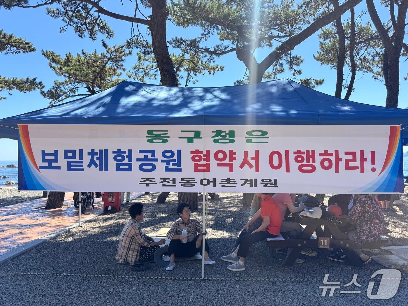 본문 이미지 - 울산 동구 주전보밑 피크닉장에 '동구청은 보밑체험공원 협약서 이행하라'는 현수막이 내걸려 있다.2025.7.29./뉴스1 ⓒ News1 김세은 기자