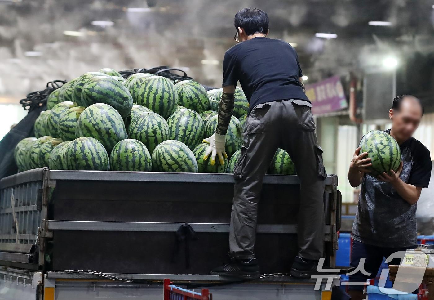 중복을 하루 앞둔 29일 대구 북구 매천동 대구농수산물도매시장 하역장에서 작업자들이 산지에서 올라온 수박을 분류하고 있다. 하역장 주변에는 쿨링포그가 가동돼 무더위를 식혀주고 있다. 2025.7.29/뉴스1 ⓒ News1 공정식 기자