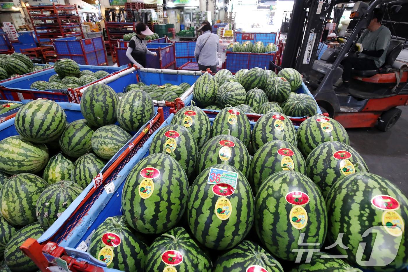 본문 이미지 - 13일 대구와 경북 일부 지역의 낮 기온이 30도를 웃도는 등 무더운 날씨를 보이고 있다. 사진은 대구농수산물도매시장에 진열된 수박. ⓒ News1 공정식 기자