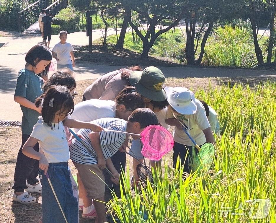 본문 이미지 -  (서울 강동구 제공) 