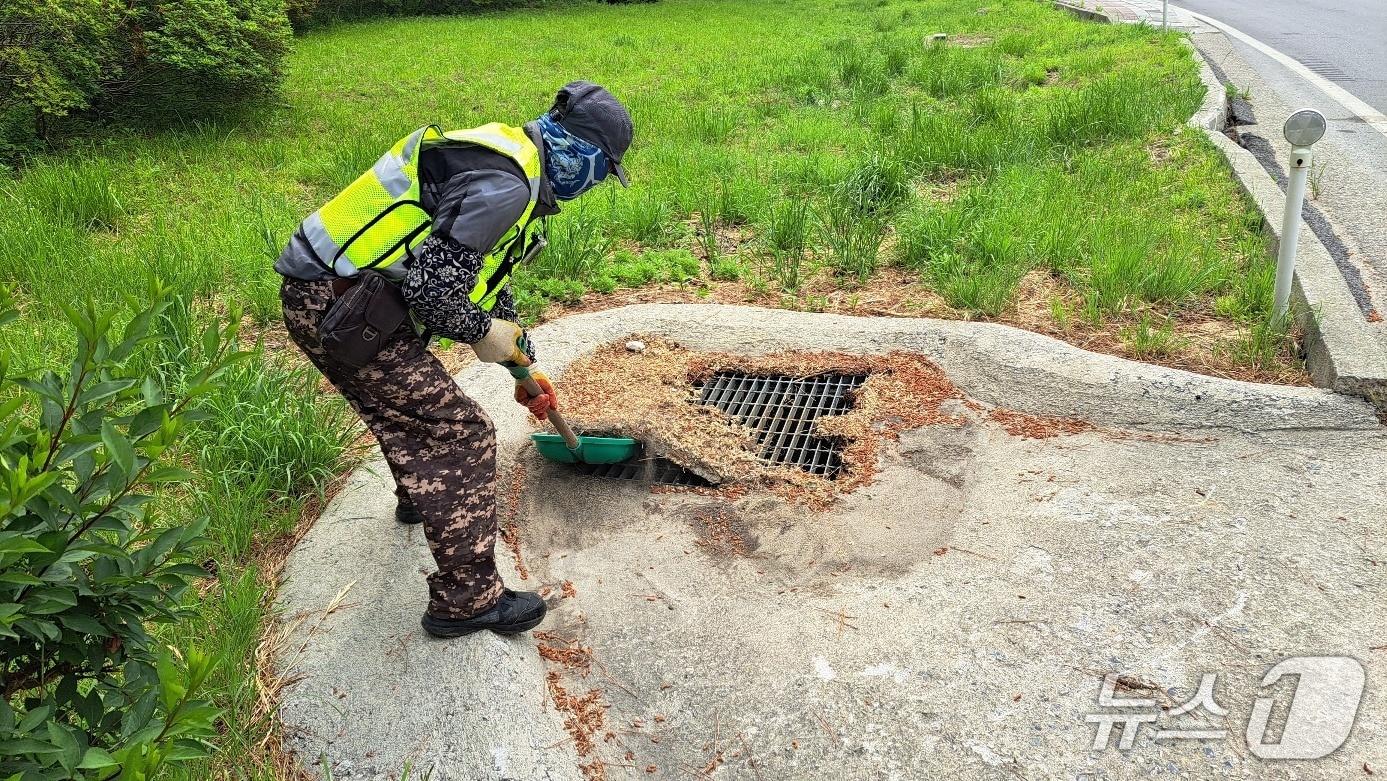 본문 이미지 - 도로 민원 처리하는 동해시 현장대응팀 기동처리반.(동해시 제공, 재판매 및 DB 금지) 2025.7.29/뉴스1