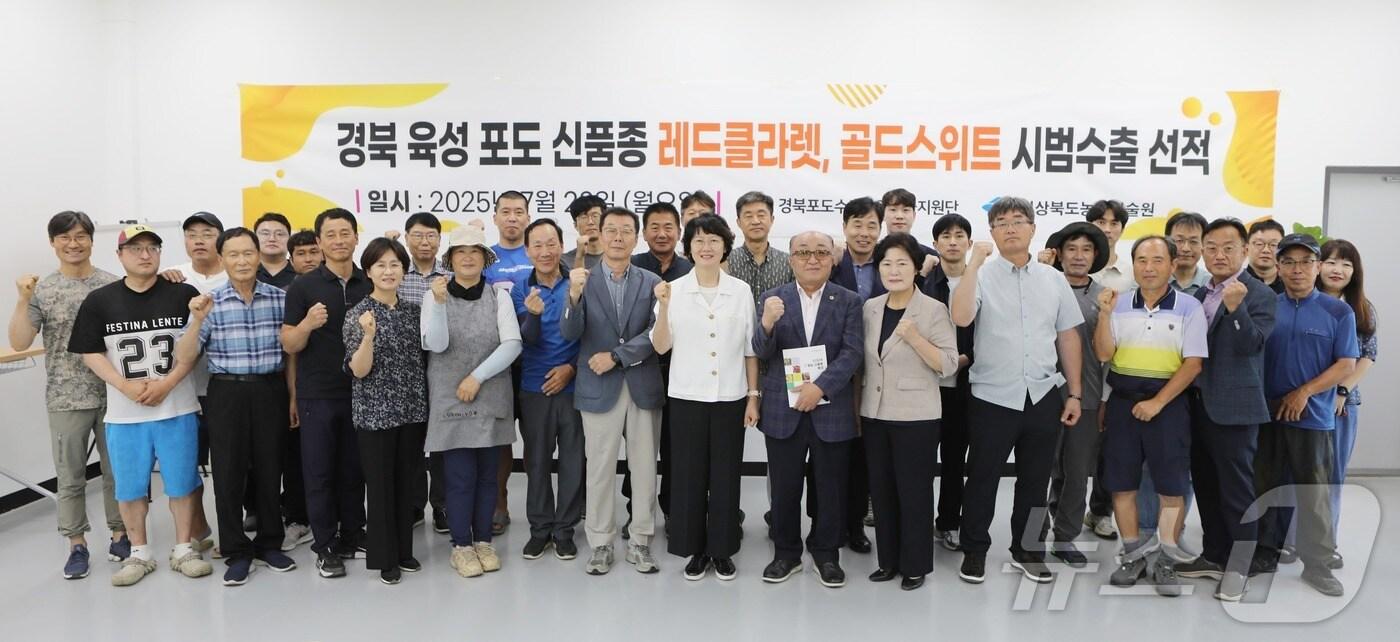 경북농업기술원은 29일 자체 개발한 포도 신품종 ‘레드클라렛’과 ‘골드스위트’의 첫 수출 선적식을 상주 동트면영농조합법인에서 개최했다 ⓒ News1 김대벽기자