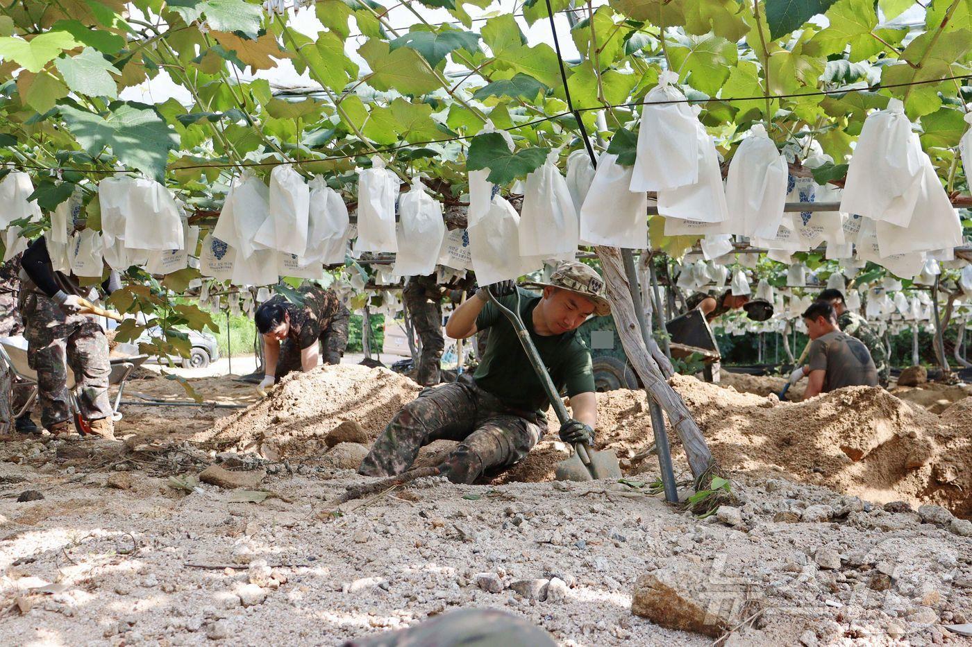 29일 경기 가평군 수해 복구 현장에서 육군 병사들이 구슬땀을 흘리고 있다.&#40;가평군 제공, 재판매 및 DB 금지&#41; 2025.7.29/뉴스1 ⓒ News1 양희문 기자