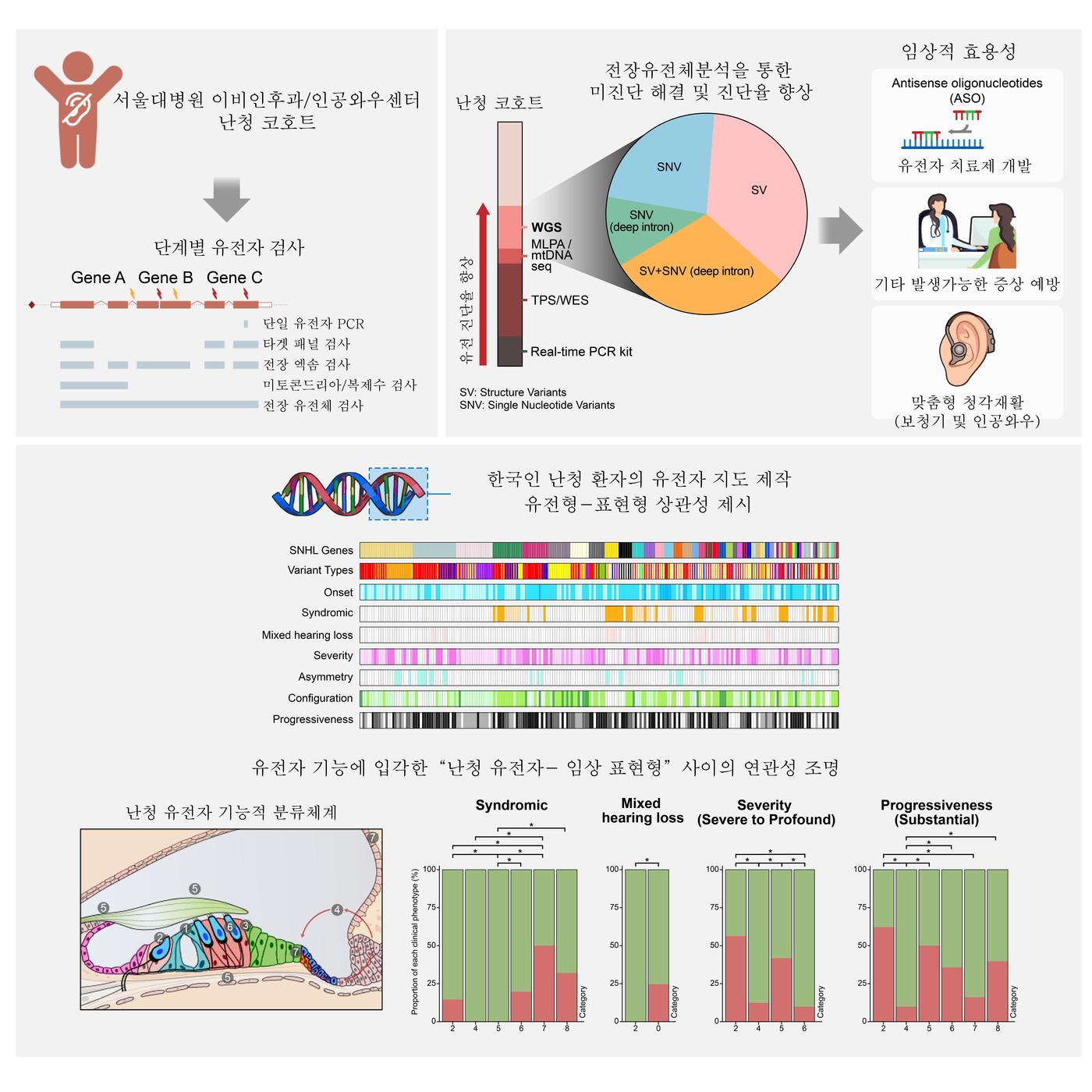 본문 이미지 - 감각신경성 난청 유전자 분석 과정 요약: 전장유전체분석을 통해 한국인의 난청 유전자 지도를 구축하고, 비코딩 및 구조적 변이와 난청 유형의 관계를 분석함(서울대병원 제공)