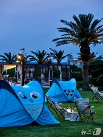 본문 이미지 - 고 와일드 피크닉 텐트존(해비치호텔앤드리조트 제공)