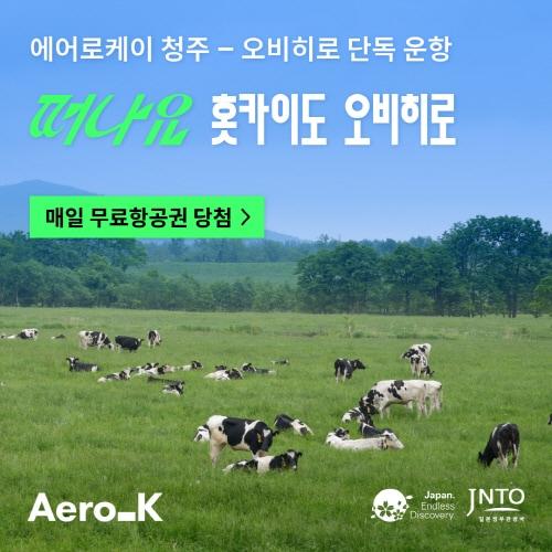 본문 이미지 - 사진=에어로케이항공 제공