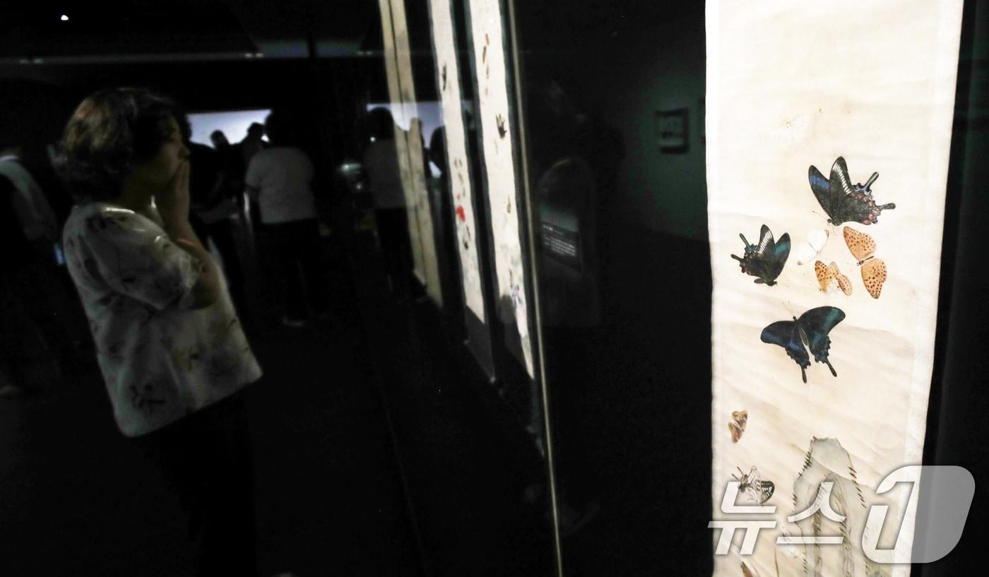 3일 오전 국립제주박물관에서 4일 개막하는 '제주에 나빌레라-광복 80주년 기념 석주명 특별전' 언론공개회가 열리고 있다. 2025.7.3/뉴스1 ⓒ News1 오현지 기자