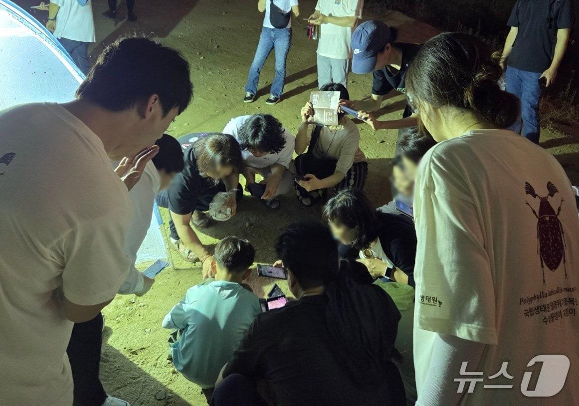 본문 이미지 - 시민과 함께하는 수염풍뎅이 보호 활동 사진(청주시 제공. 재판매 및 DB금지)./뉴스1