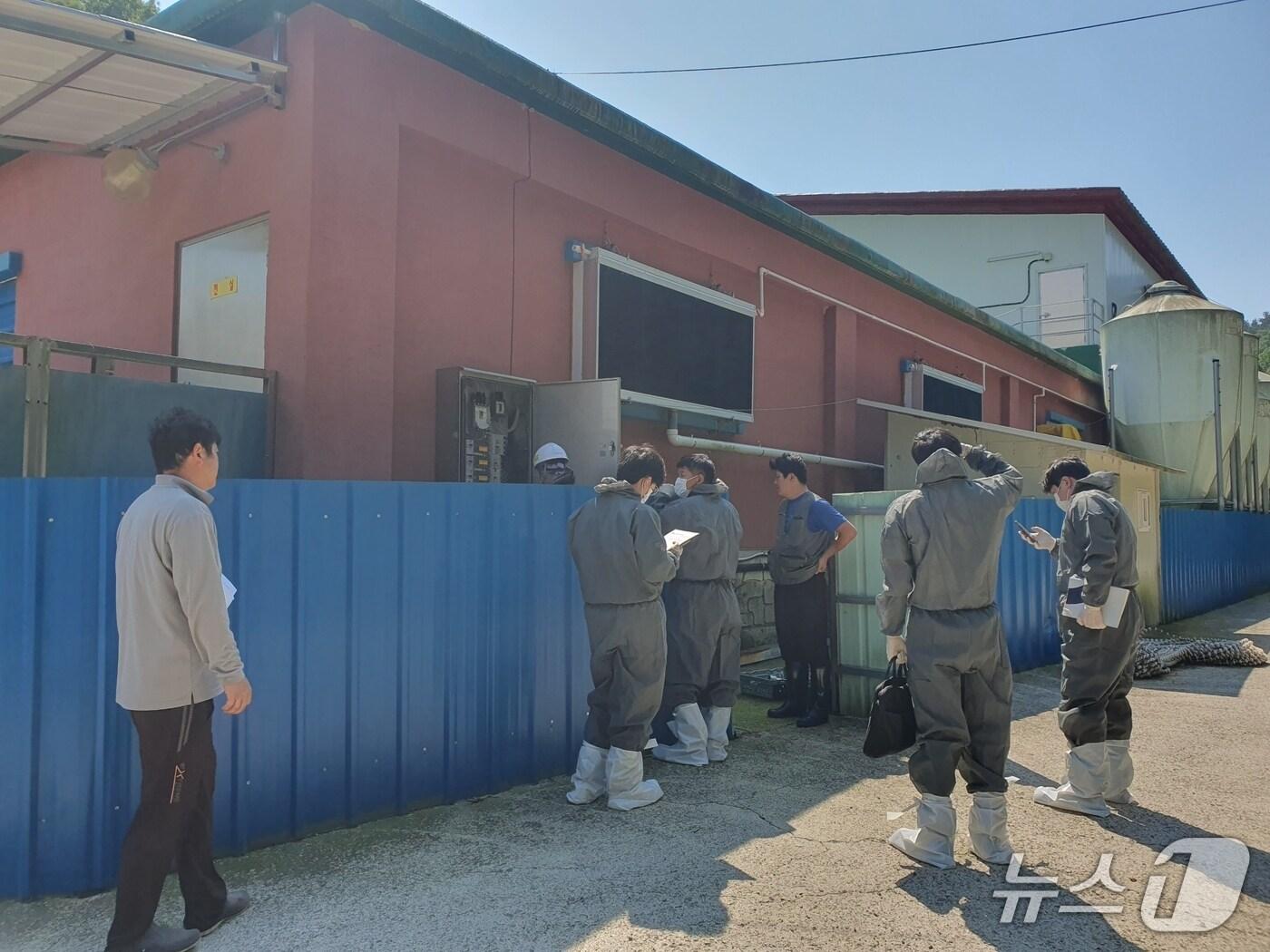 본문 이미지 - 경남도 관계자가 폭염으로 인한 가축 피해 예방을 위해 현장점검을 하고 있다.(경남도 제공. 재판매 및 DB금지)