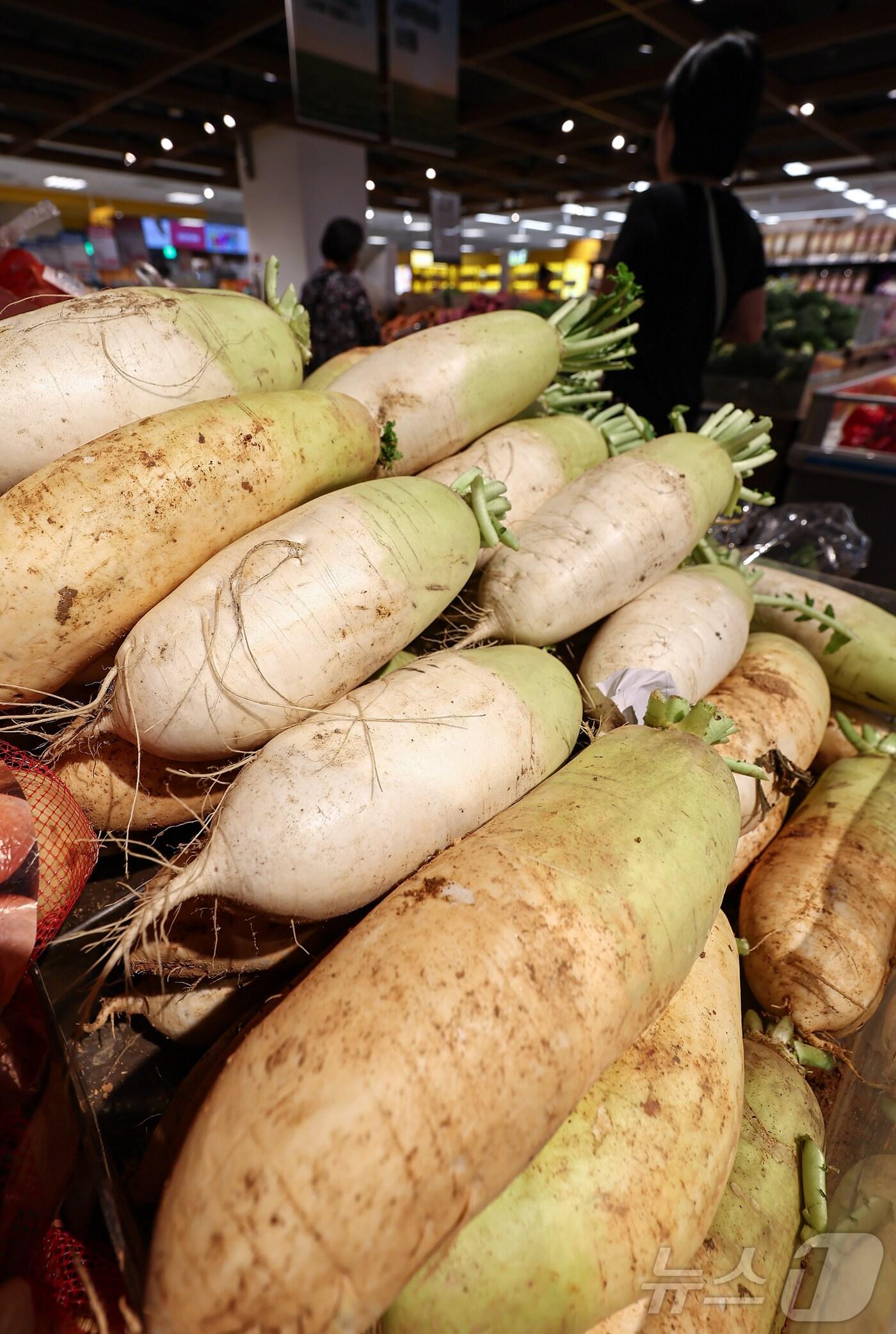 본문 이미지 - 대형마트에 진열된 무. 2025.7.3/뉴스1 ⓒ News1 김도우 기자
