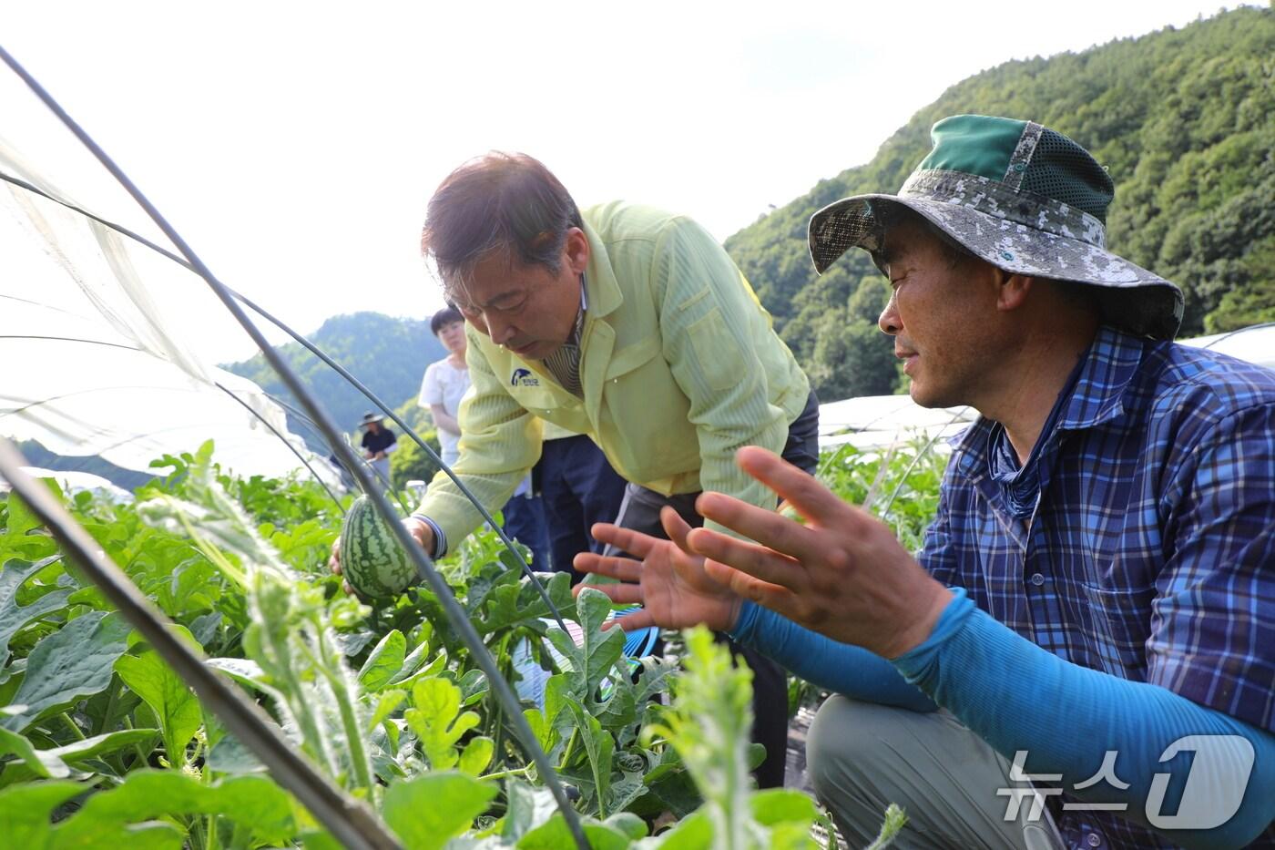 전춘성 전북 진안군사가 진안읍 농가를 찾아 점검하고 있다.(진안군제공. 재판매 및 DB금지)2025.7.3/뉴스1