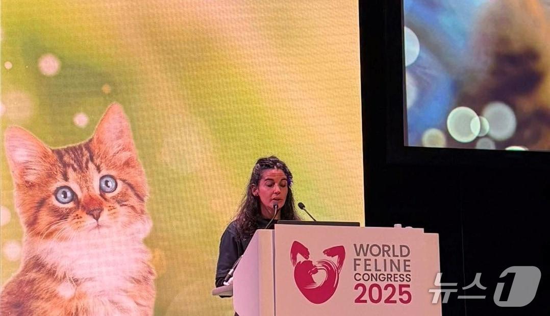 본문 이미지 - 6월 영국 에딘버러에서 열린 '세계고양이회의 2025'에서 수의사가 강의를 하고 있다(이기쁨 수의사 페이스북). ⓒ 뉴스1