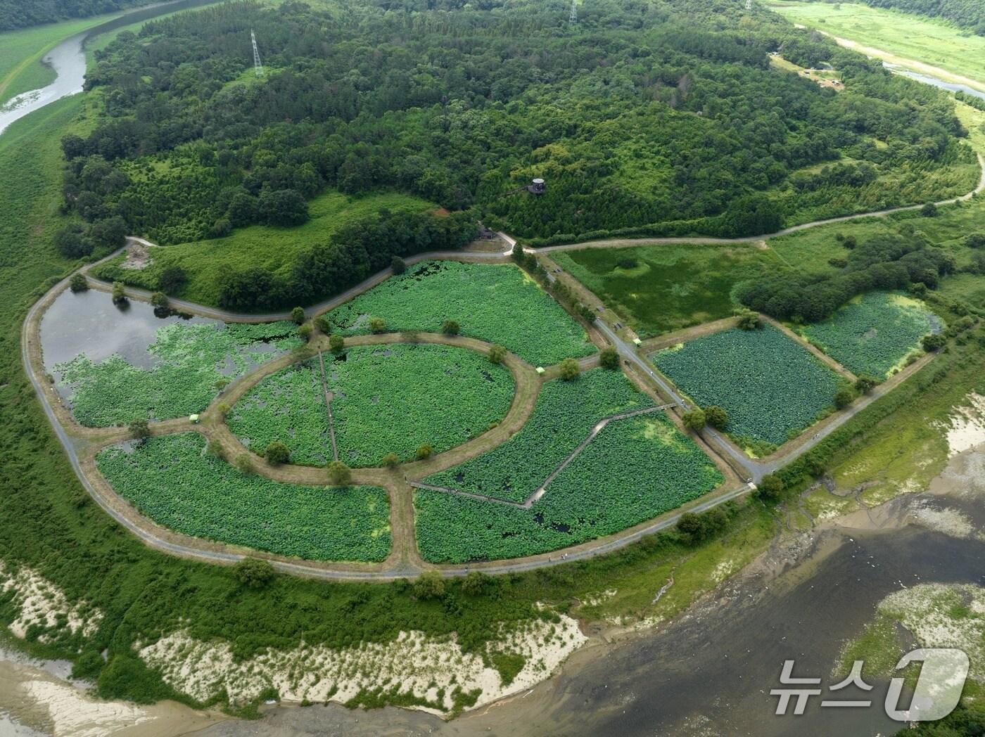 본문 이미지 - 회야댐 생태습지. (울산시 제공. 재판매 및 DB 금지) /뉴스1