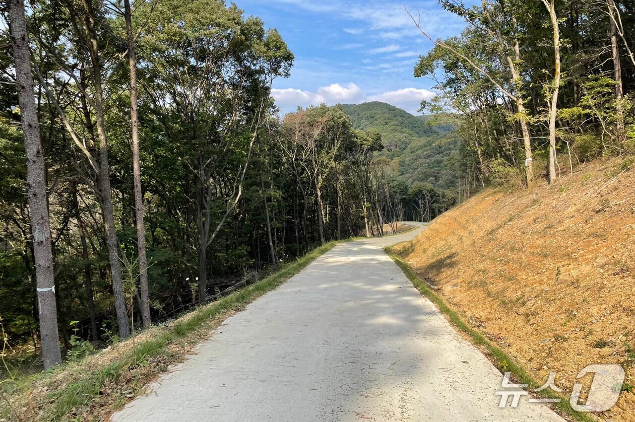 본문 이미지 - 전북 순창군 소재 한 임도 모습.&#40;순창군 제공. 재판매 및 DB금지&#41;/뉴스1 