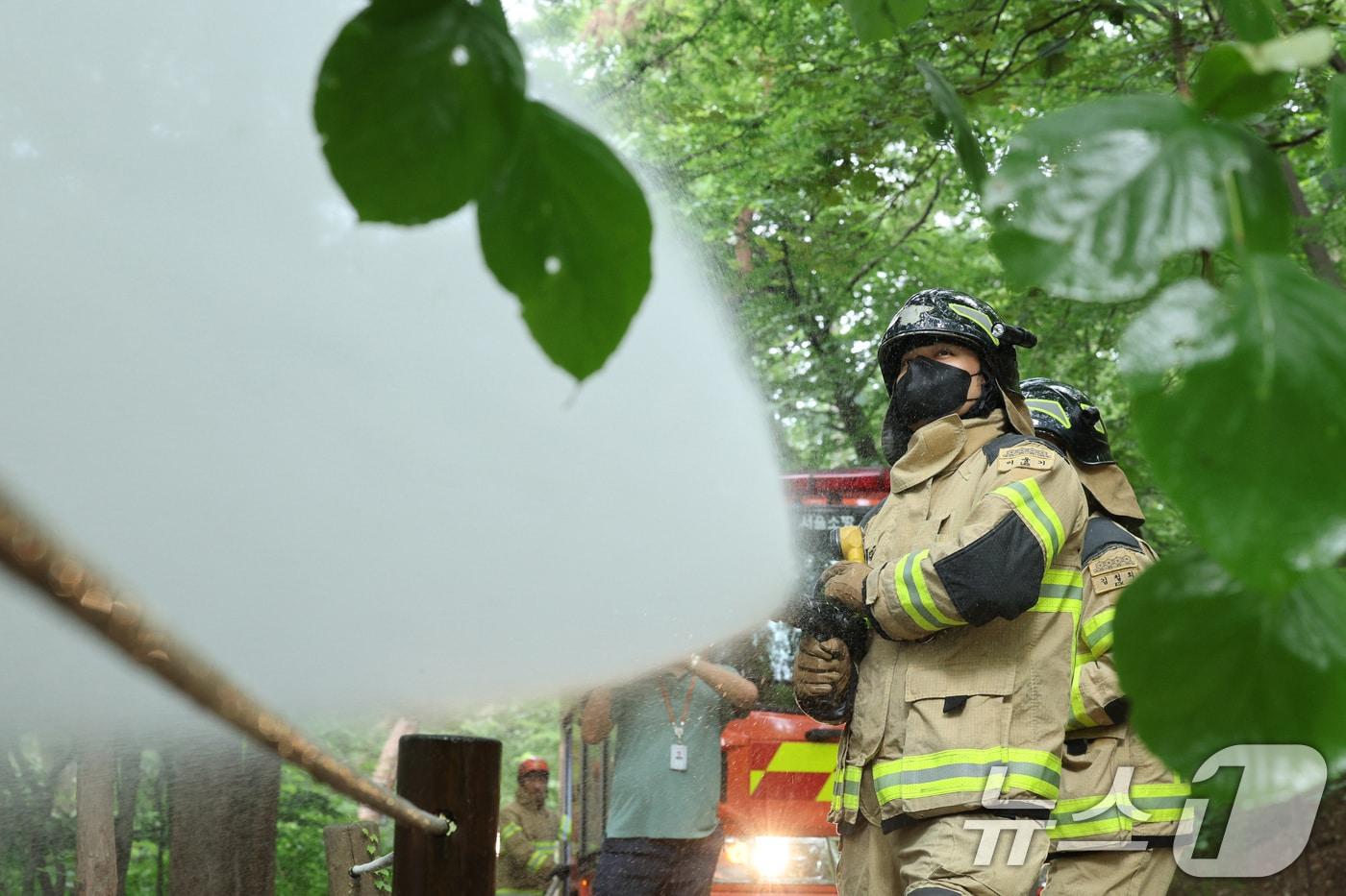 3일 오후 서울 노원구 삼육대학교에서 소방대원들이 살수차를 이용해 붉은등우단털파리&#40;러브버그&#41; 방제 활동을 하고 있다. 2025.7.3/뉴스1 ⓒ News1 신웅수 기자
