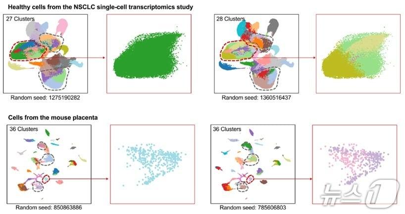 본문 이미지 - 클러스터링 알고리즘의 무작위성에 따른 분석 결과 변동성(IBS 제공) /뉴스1