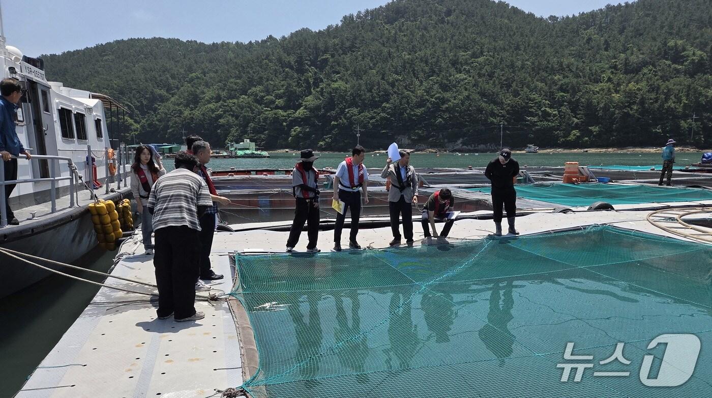 고수온과 적조 대비를 위한 양식장 모의훈련 모습.(전남도 제공. 재판매 및 DB금지)2025.7.3/뉴스1