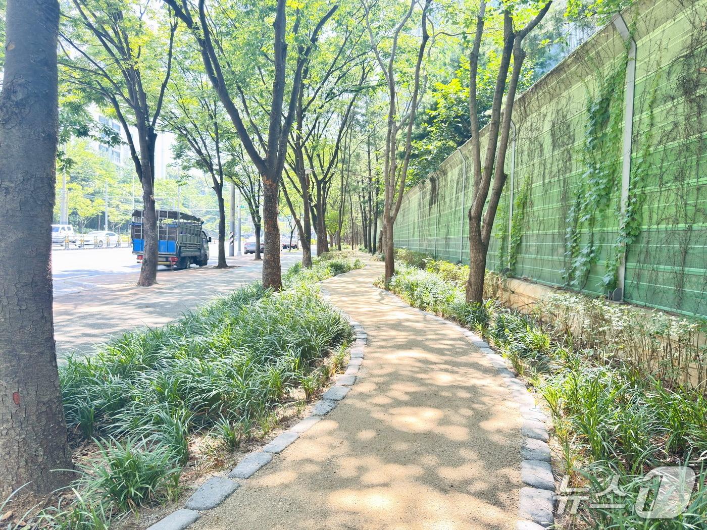 본문 이미지 - 대구 달성군 화원읍 명곡리에 조성된 맨발걷기 산책로.(대구 달성군 제공.재판매 및 DB금지)