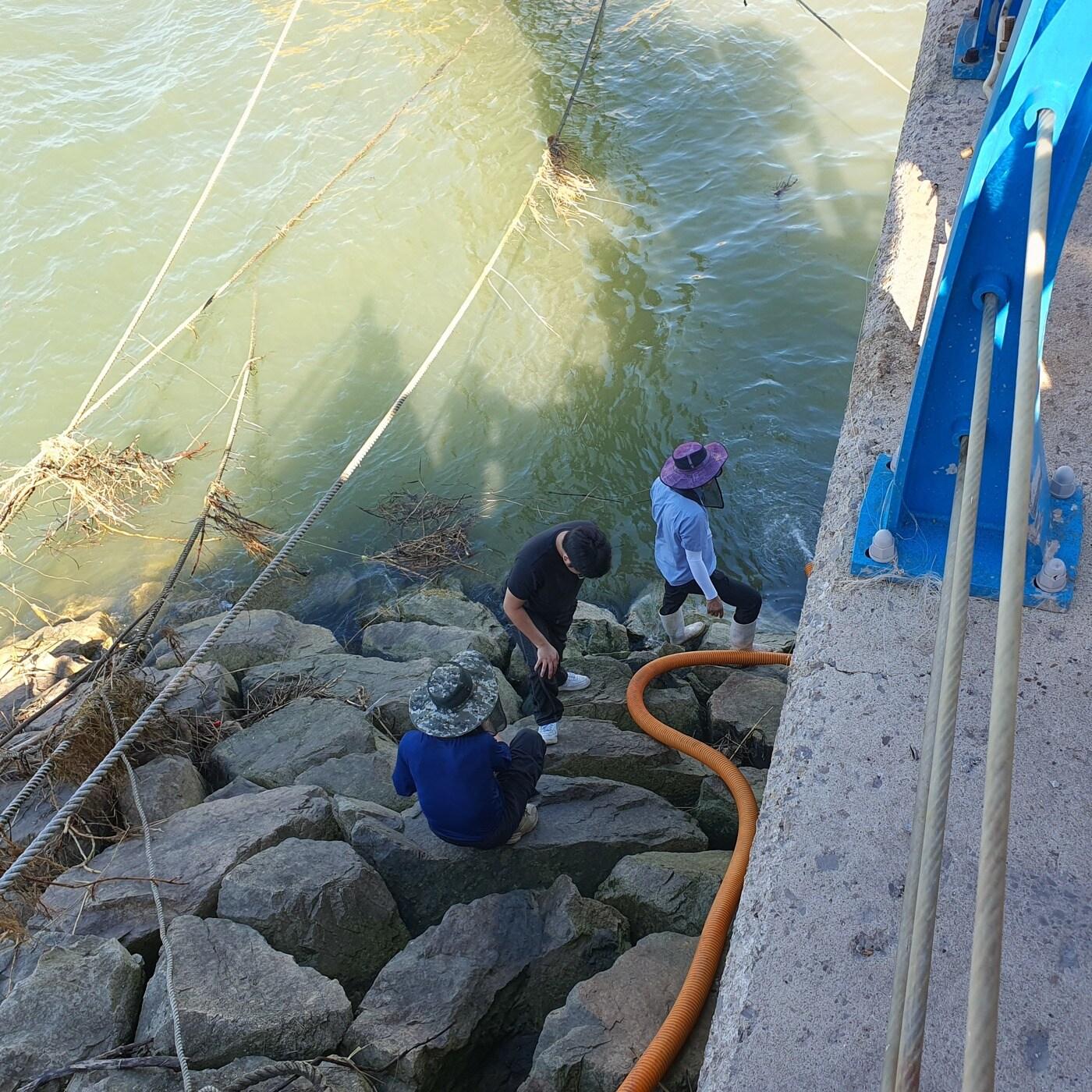 본문 이미지 - 당진 연안에 꽃게를 방류하는 모습.(충남도 제공. 재판매 및 DB금지)/뉴스1 