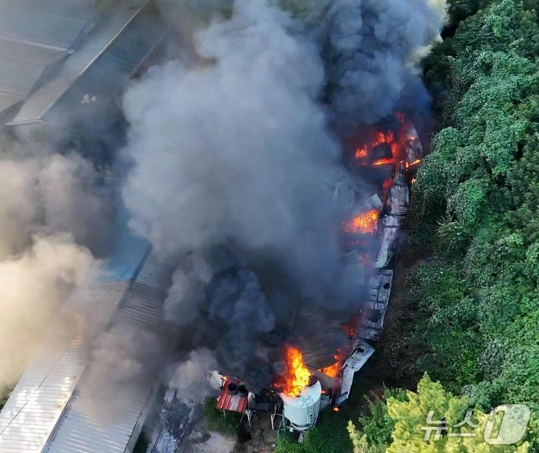 본문 이미지 - 29일 오후 5시 41분쯤 김해시 한림면의 한 돈사에서 불이 나 3시간 40분만에 진화됐다. 사진은 화재 현장 모습.(경남소방본부 제공. 재판매 및 DB금지)