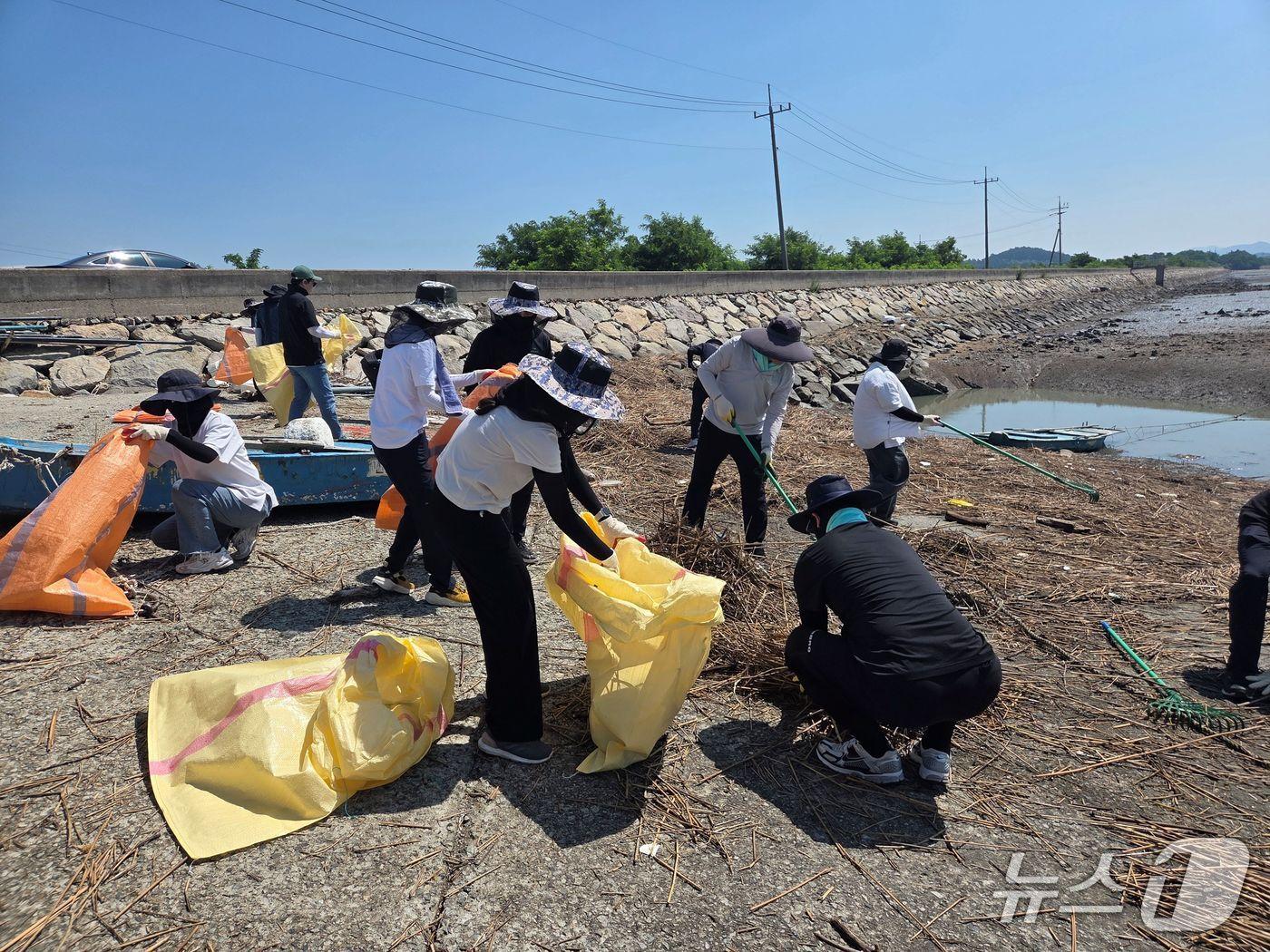 본문 이미지 - 해양쓰레기 수거활동 모습.&#40;전남도 제공. 재판매 및 DB금지&#41; 2025.7.30/뉴스1