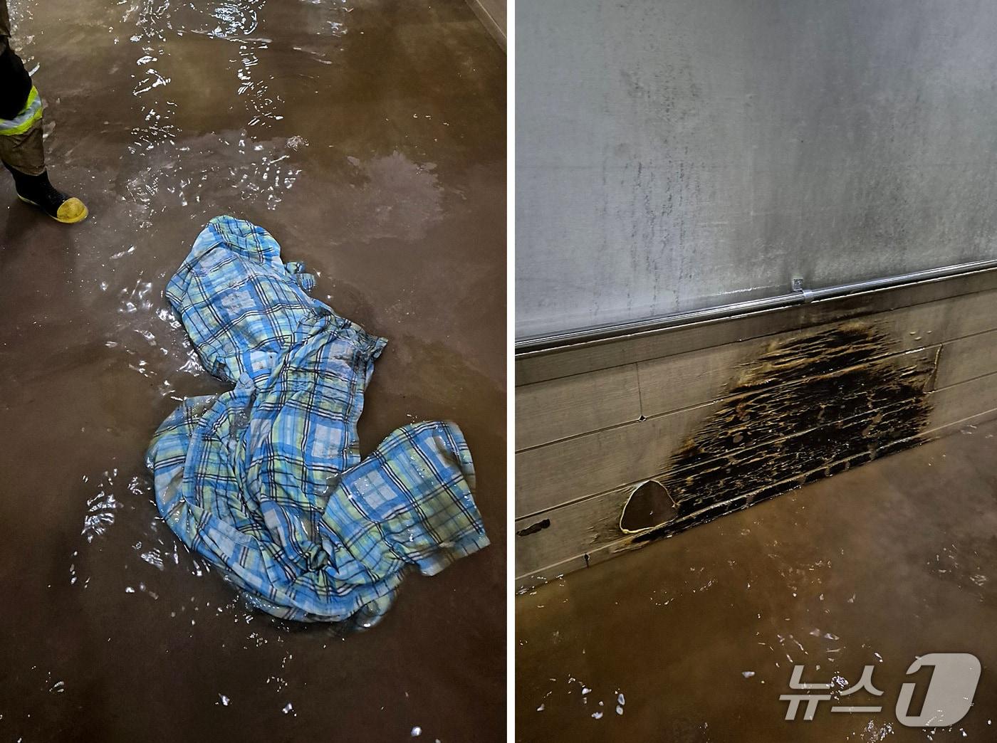 본문 이미지 - 대구 달서구 성당동 정신병원 화재 (대구소방안전본부 제공. 재판매 및 DB금지) /뉴스1