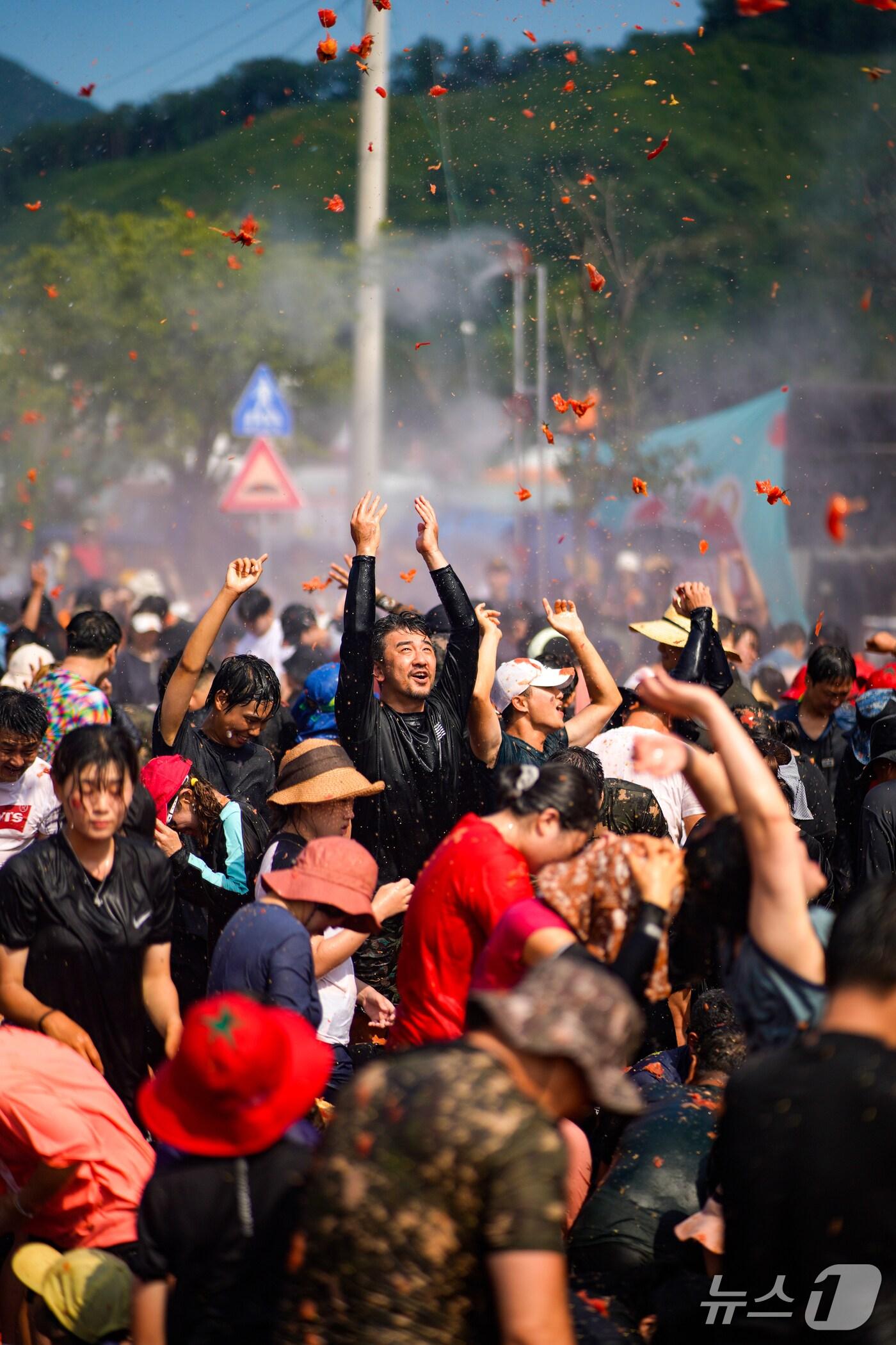 본문 이미지 - 2024 화천토마토축제  현장.&#40;화천군 제공, 재판매 및 DB금지&#41;