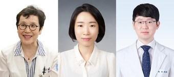 본문 이미지 - 김나영 분당서울대병원 소화기내과 교수(왼쪽부터), 송진희 연구교수, 최용훈 교수.(분당서울대병원 제공)/뉴스1
