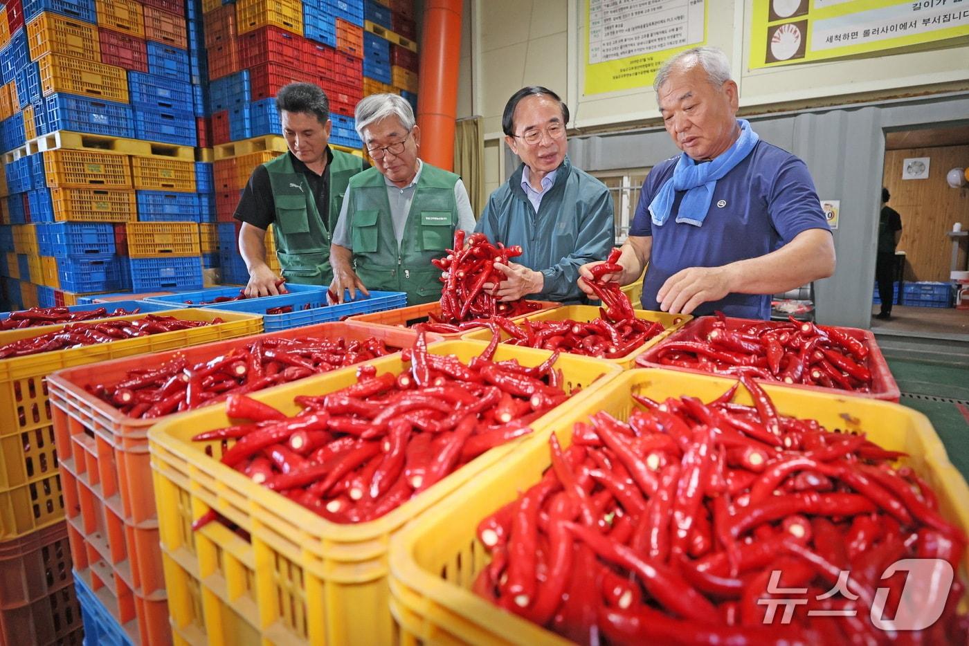 전북 임실군이 '홍실 고추' 수매에 돌입한 가운데 심민 군수(오른쪽 두번째)가 수매 현장을 방문했다.(임실군제공. 재판매 및 DB금지)2025.7.30/뉴스1