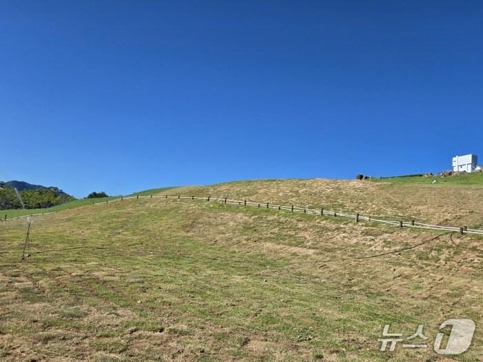 본문 이미지 - 지난해 폭우로 사면이 붕괴된 김해 대성동 고분군의 복구가 완료됐다. 사진은 복구된 사면 모습.(김해시 제공. 재판매 및 DB금지)