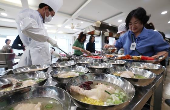 본문 이미지 - 지난 7월 중복&#40;中伏&#41; 경기 수원시 장안구청 구내식당에서 열린 복달임 행사에서 구청 직원들이 삼계탕을 배식받고 있다. 2025.7.30/뉴스1 ⓒ News1 김영운 기자