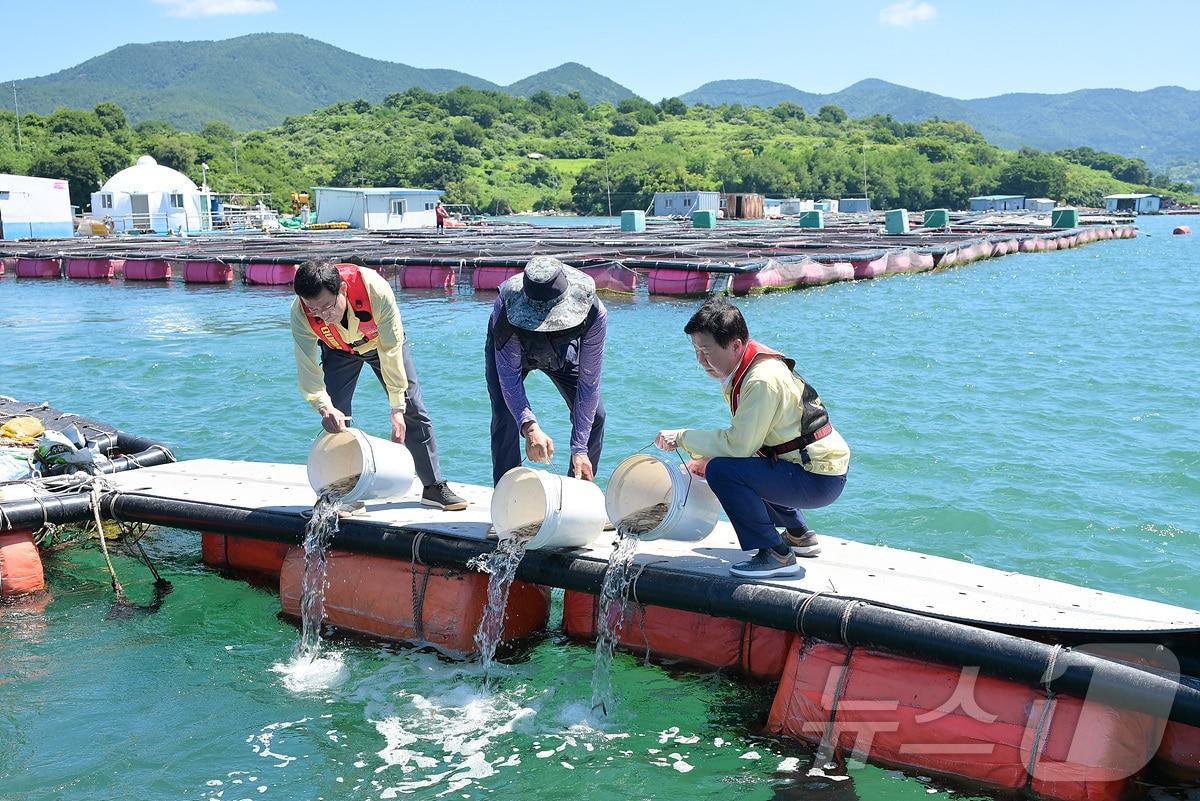 본문 이미지 - 정기명 전남 여수시장(오른쪽)이 30일 돌산읍 가두리 양식장을 찾아 고수온에 따른 피해 예방을 위해 긴급 방류를 하고 있다.(여수시 제공. 재판매 및 DB 금지)