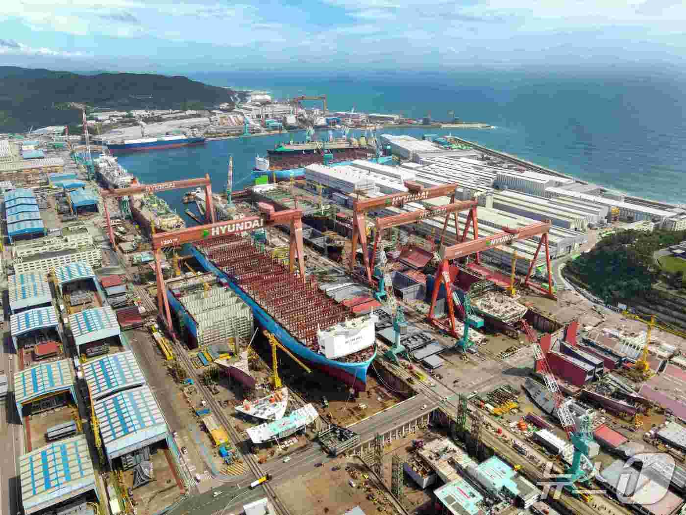 본문 이미지 - HD현대중공업 야드 전경.(HD현대중공업제공. 재판매 및 DB금지)