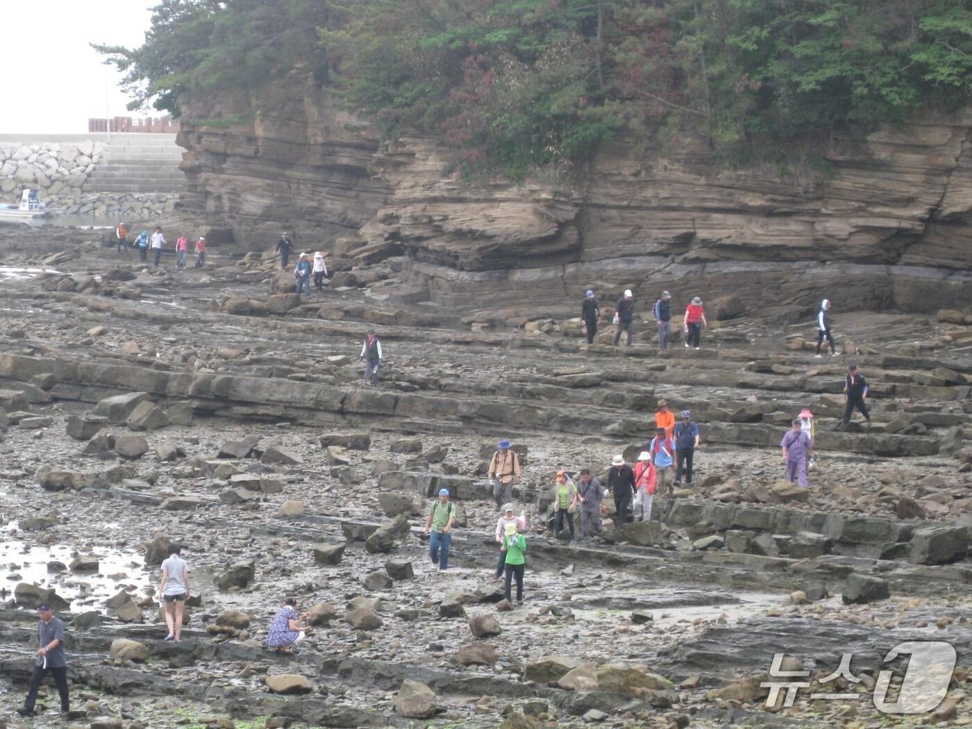본문 이미지 - 전북 서해안 세계지질공원 내 부안 채석강 전경.(전북도 제공. 재판매 및 DB금지)/뉴스1 