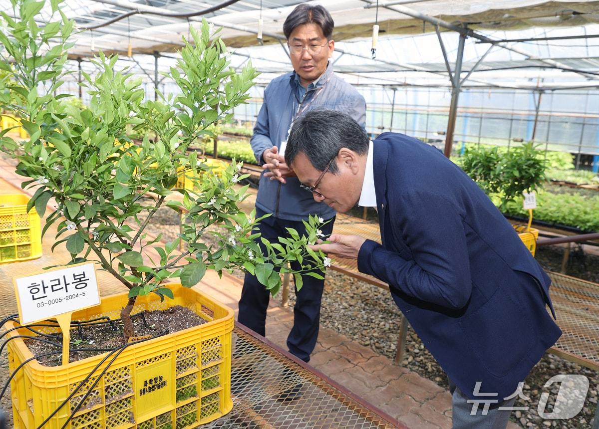 본문 이미지 - 지난 4월 과학영농 실증시험포 점검 현장에 참석한 김홍규 강원 강릉시장.(강릉시 제공, 재판매 및 DB 금지) 2025.7.30/뉴스1