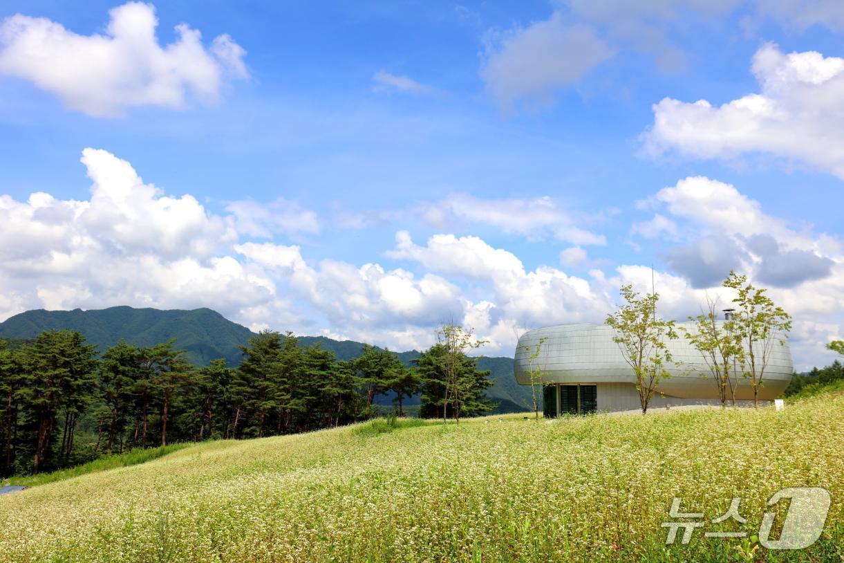 본문 이미지 - 백두대간 글로벌 시드볼트 전경 (산림청 제공.재판매 및 DB금지)/뉴스1