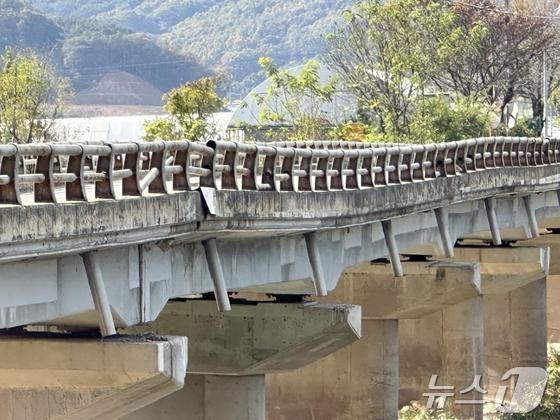 본문 이미지 - 자료사진(교각 아래쪽이 침식된 금계교)./뉴스1
